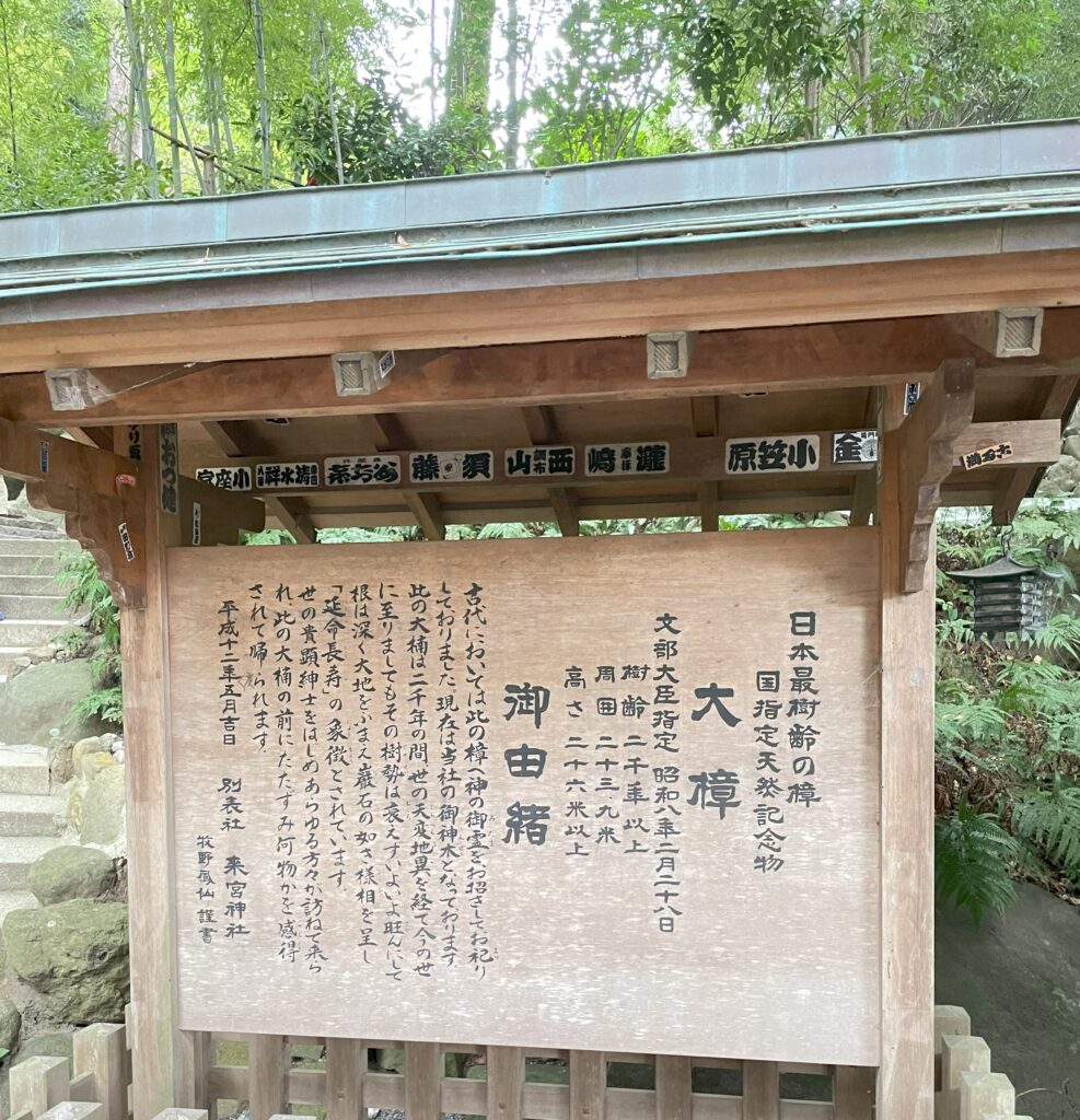 来宮神社のパワースポット・大楠の案内板