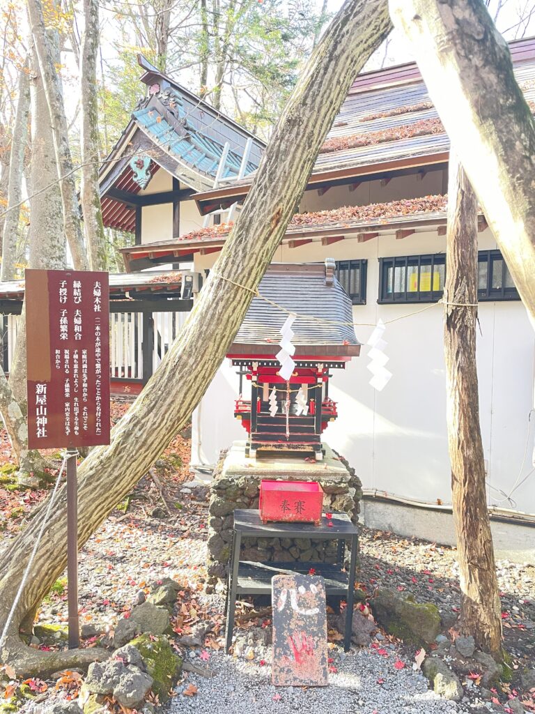縁結び・子授けのご利益がある夫婦木社の祠