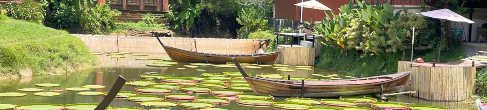 風ノ葉香房|旅と癒しを感じるプーケットの蓮池風景