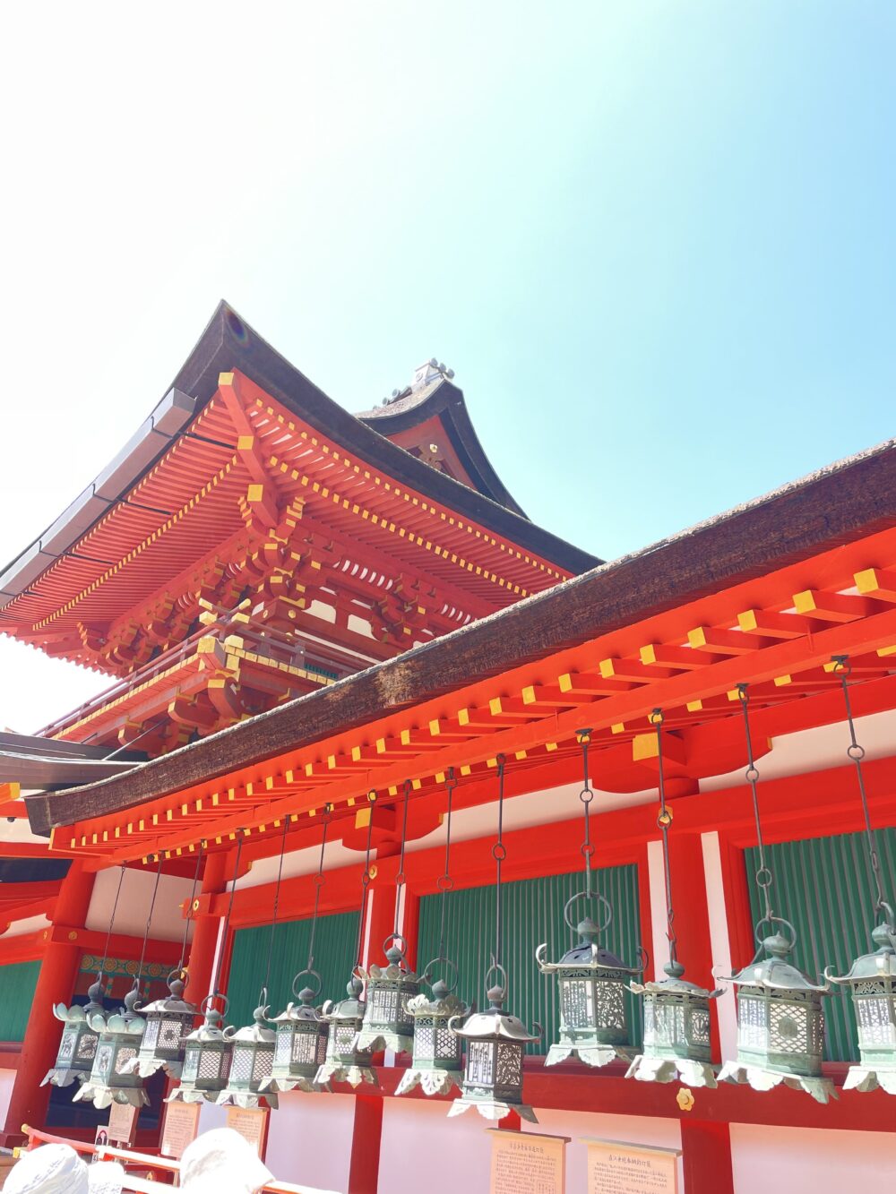 春日大社の社殿の屋根と釣燈篭