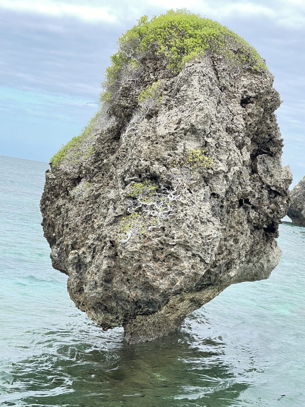 大神島の海中に根を張る大きな奇岩