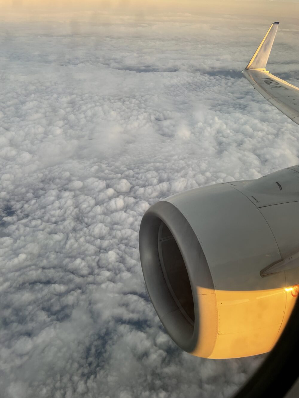 飛行機の窓から見えるエンジンと雲海