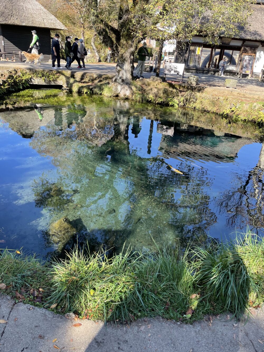 澄んだ池の水面に映る木々と青空