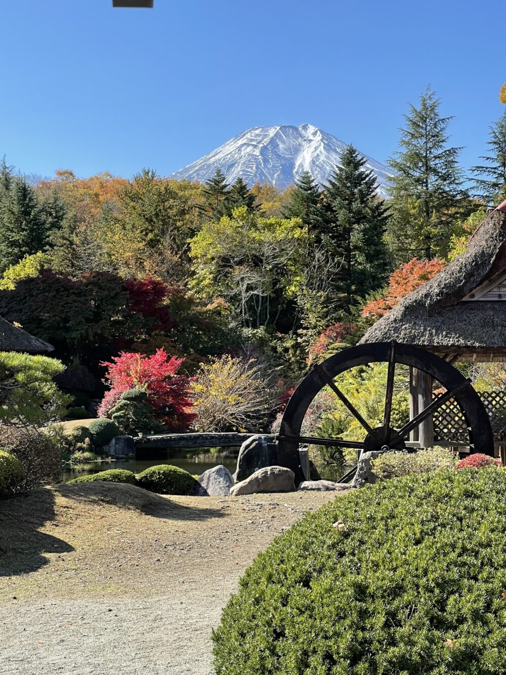 色づく紅葉と富士山、水車小屋の庭園風景