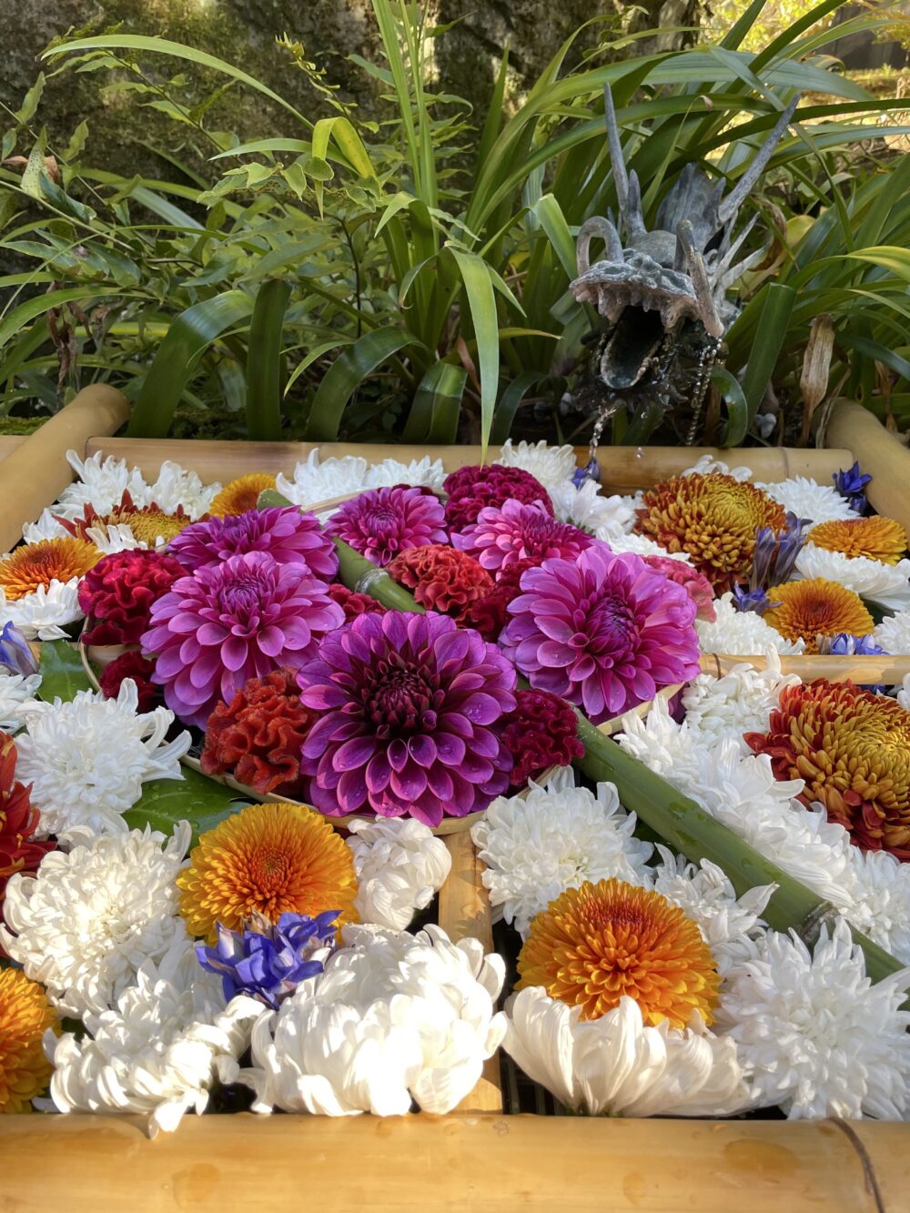 色とりどりの花で飾られた手水舎と龍の口