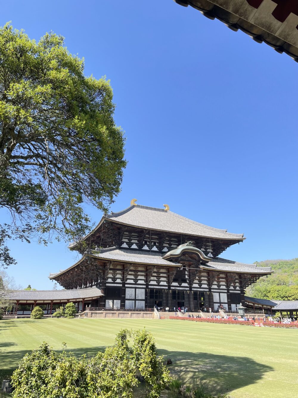 東大寺大仏殿の全景と芝生広場