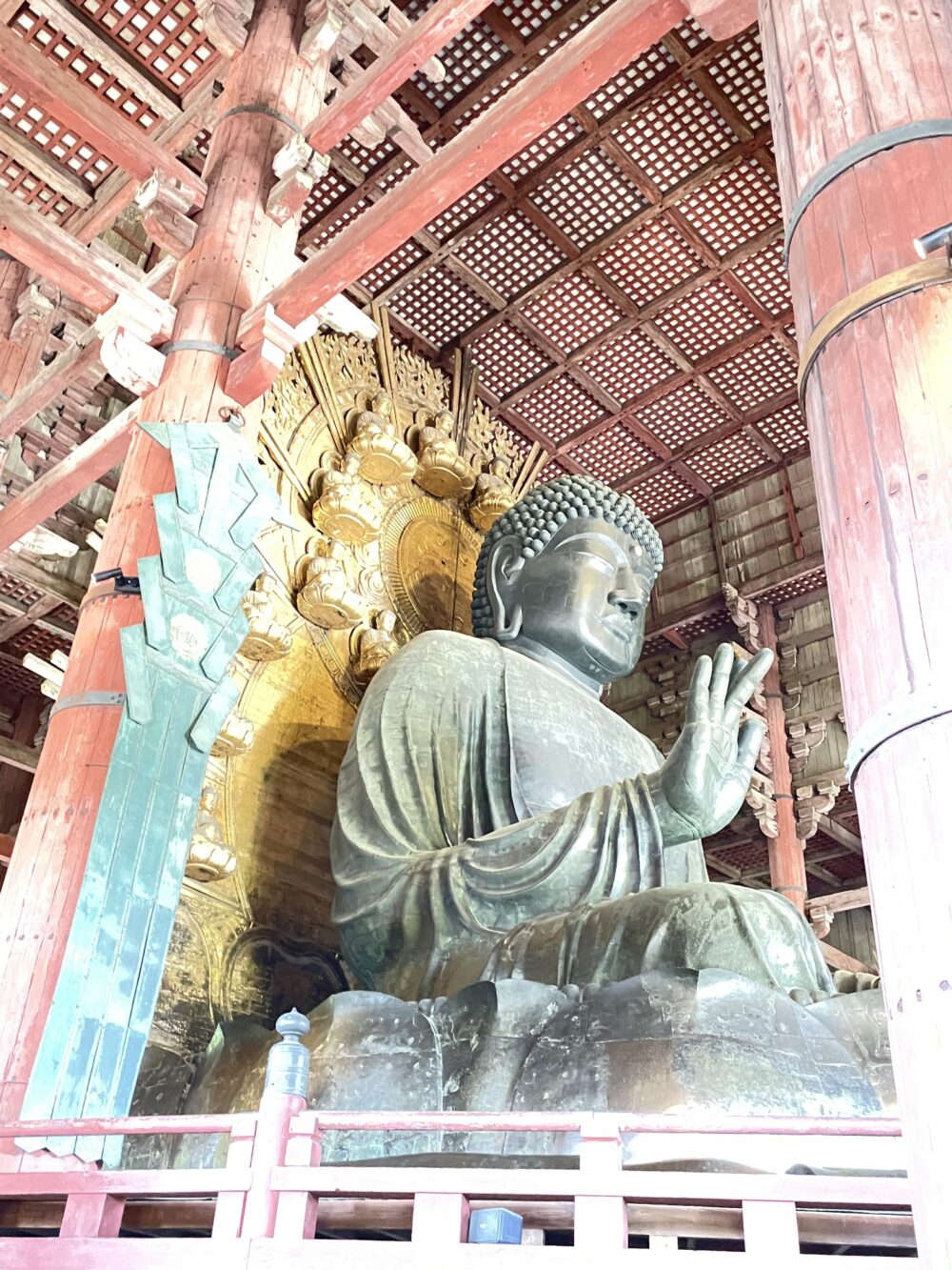 東大寺の大仏・盧舎那仏の側面像