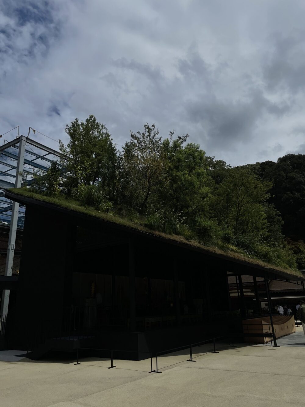 屋根に草花が茂る、仮殿の外観(藤本壮介設計)