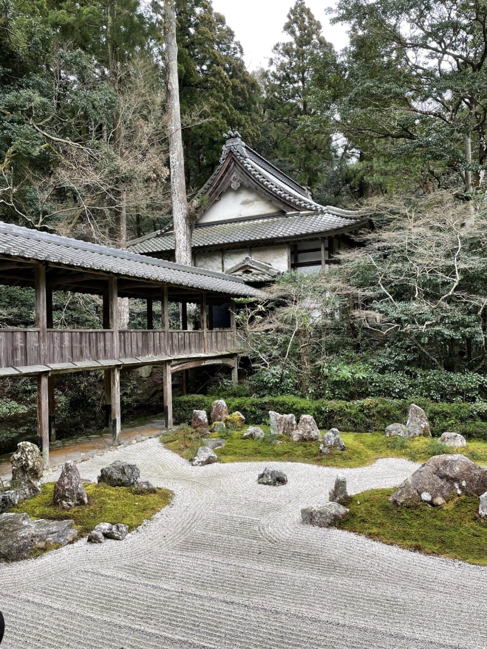 龍潭寺の美しい枯山水庭園