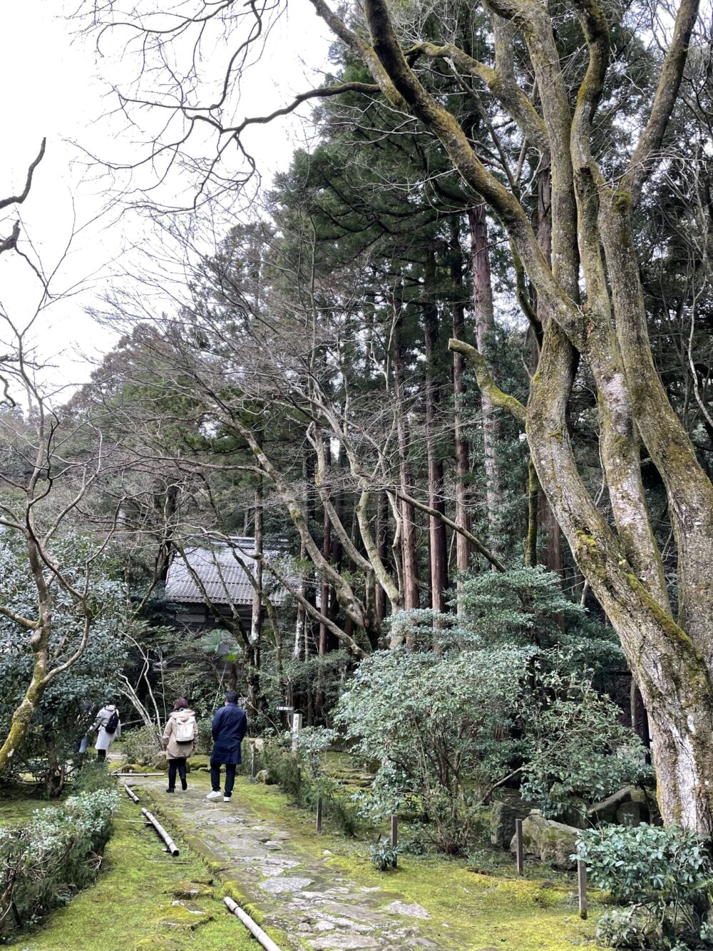 苔むす龍潭寺の石畳参道
