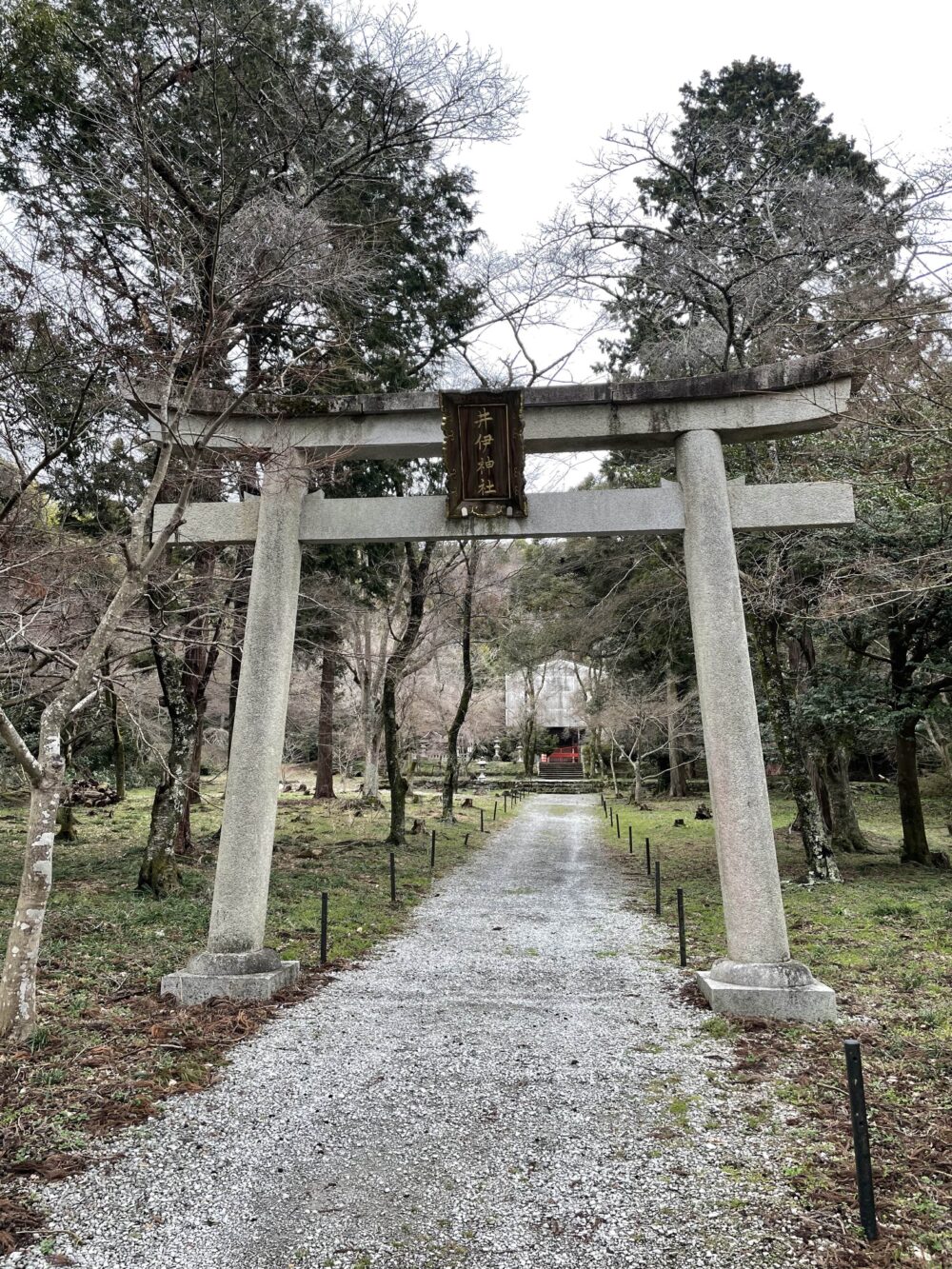 井伊神社の鳥居と長い参道