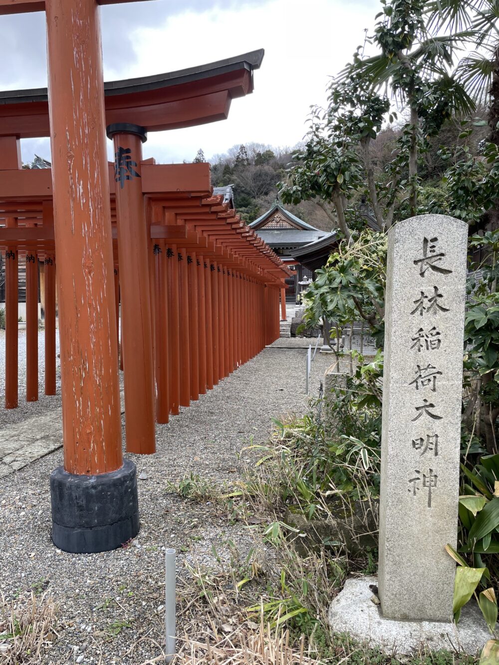 長林稲荷大明神の赤い鳥居