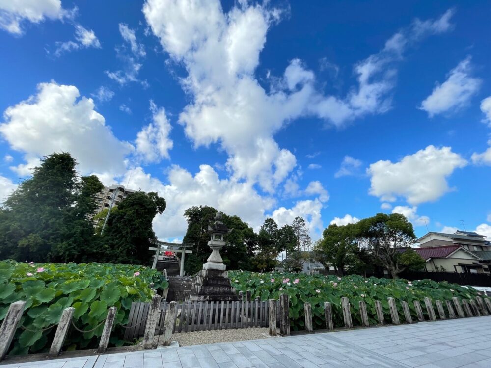 伊賀八幡宮の楼門から望む蓮池と鳥居