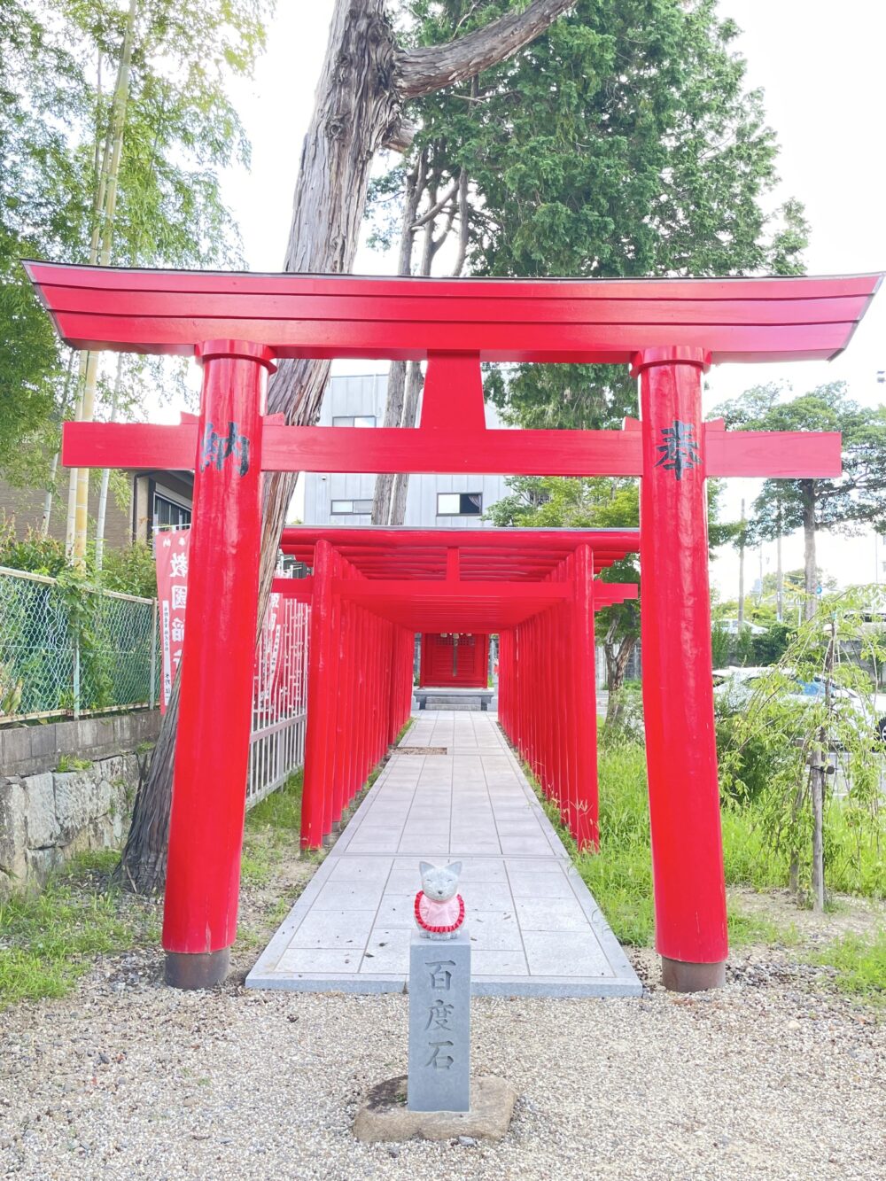 百度石と並ぶ赤い鳥居が連なる稲荷社