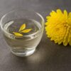 重陽の節句に飲まれる菊酒。透明なグラスに浮かぶ黄色い食用菊の花びらが美しく映える