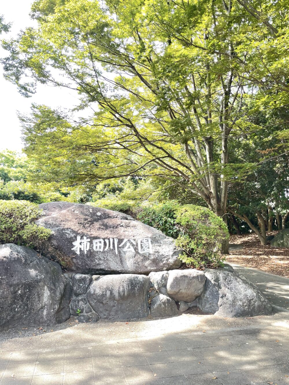 国道1号線沿いの歩行者向け入口に立つ「柿田川公園」と刻まれた石碑。車両は進入不可。