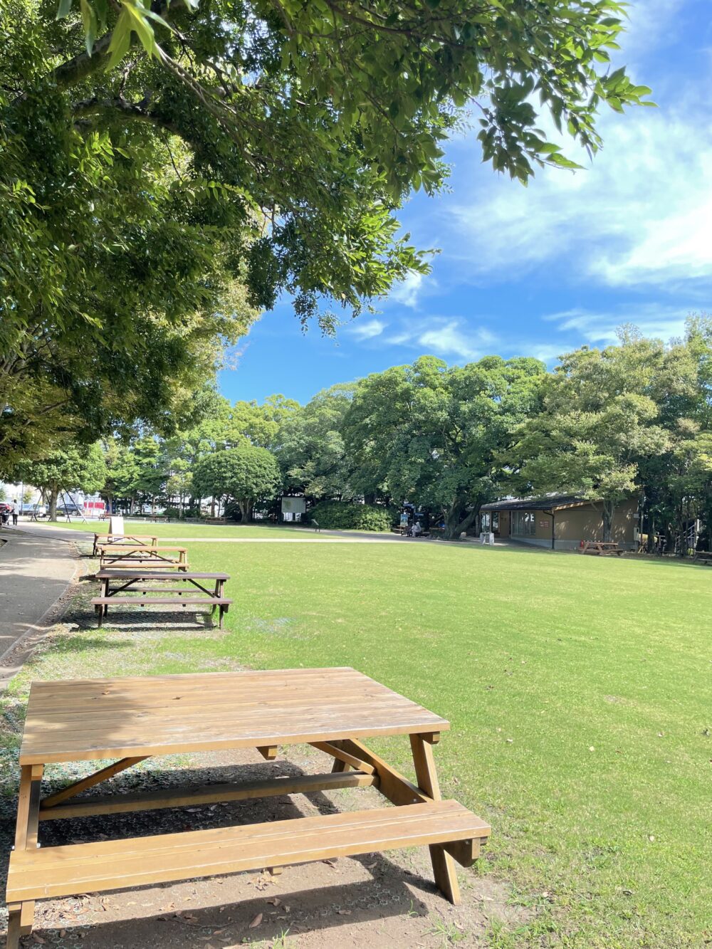 柿田川公園の芝生広場。木陰にピクニック用テーブルが並び、ゆったり過ごせる休憩スペース。