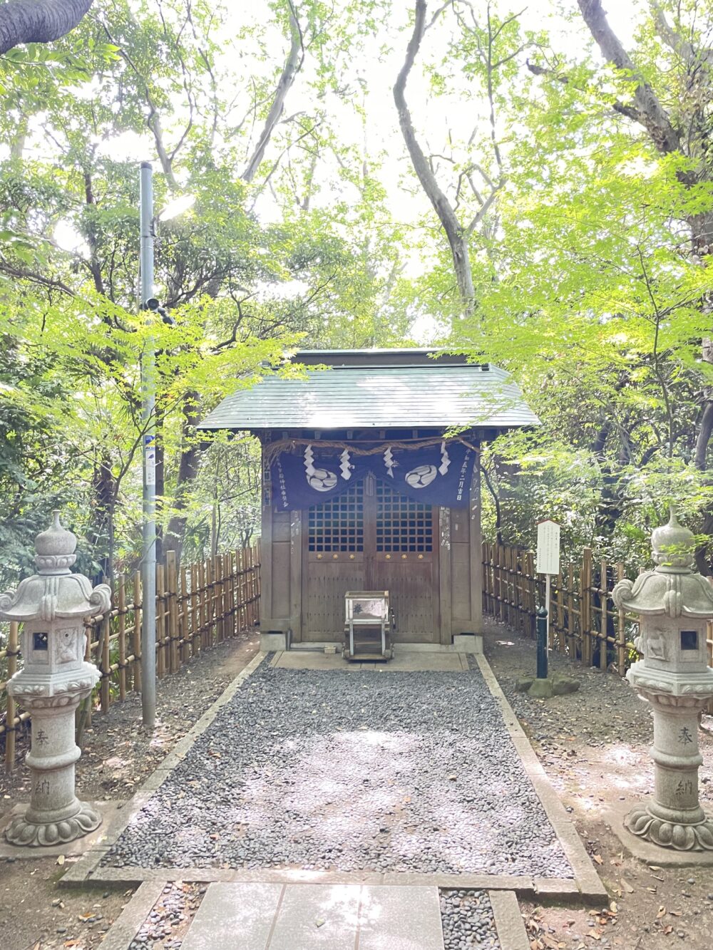 貴船神社の小さな社殿。周囲を木々に囲まれ、参道の先に祀られている。