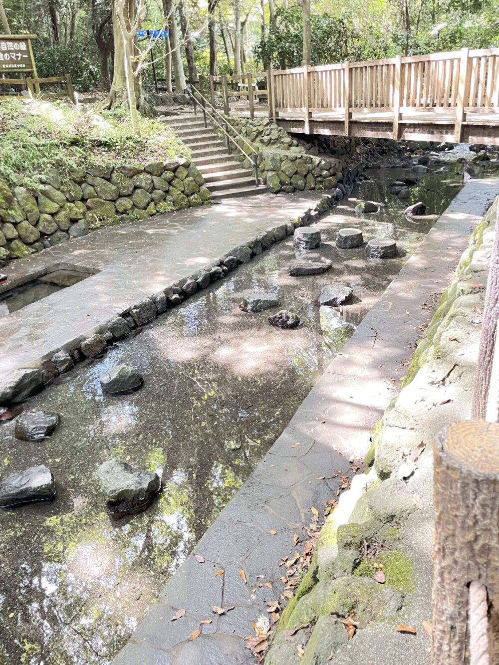 浅い湧水が流れる湧水広場。足を浸して遊べるように石が並べられ、木陰の中を水が流れている。
