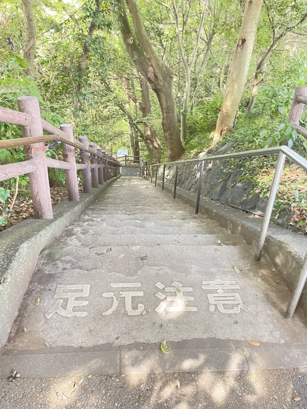 第一展望台へ向かう62段の下り階段。手すり付きで足元注意と書かれています。