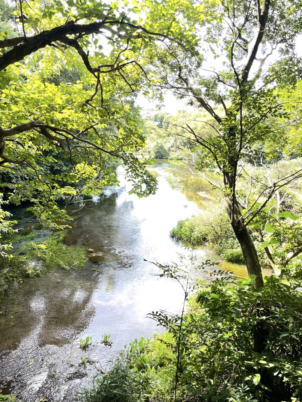 第一展望台からの眺め。