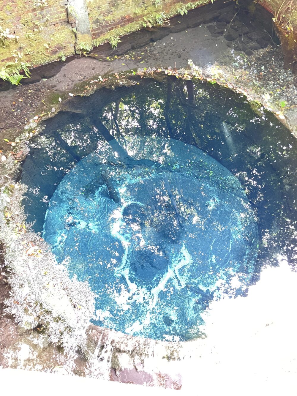 第二展望台から見える湧き水のブルーホール。地中から砂を巻き上げながら湧き出す水が、青く見えるポイント。