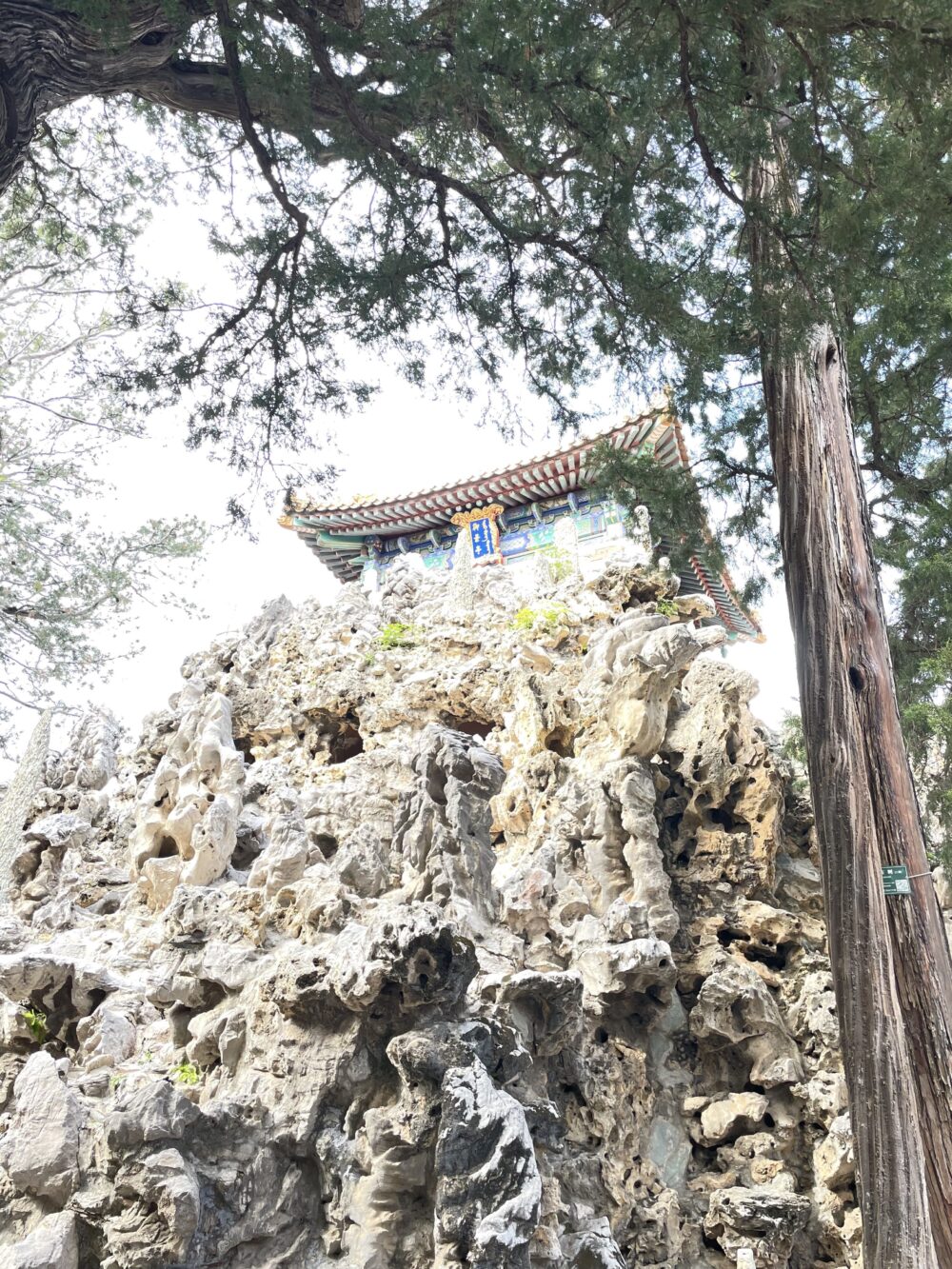 御花園の假山の上に建つ御景亭を下から見上げた構図。太湖石の岩肌が複雑な陰影をつくり、その上に彩色豊かな八角亭が姿を現している。