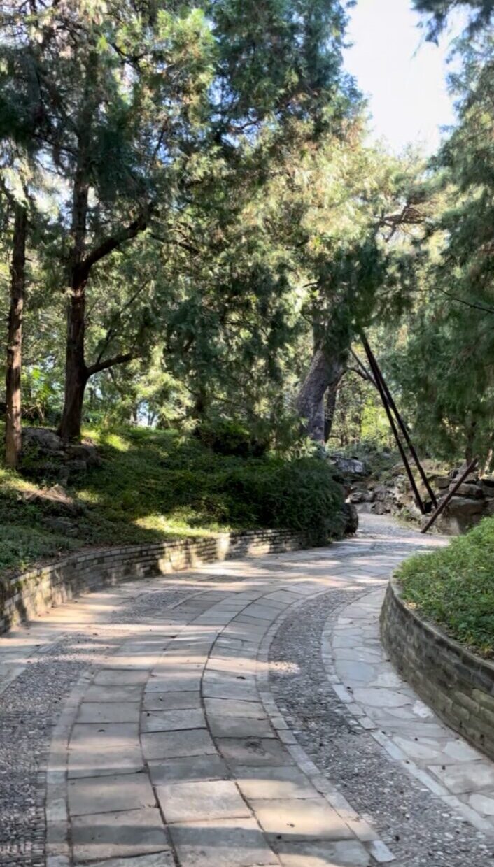 北京・頤和園の東宮門へ戻る途中にある静かな山道