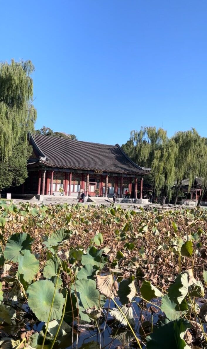 北京の世界遺産・頤和園の諧趣園にある蓮池と建物